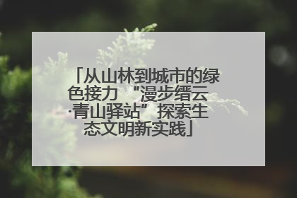 从山林到城市的绿色接力 “漫步缙云·青山驿站”探索生态文明新实践
