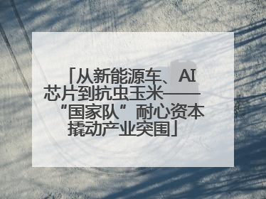从新能源车、AI芯片到抗虫玉米——“国家队”耐心资本撬动产业突围