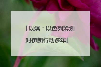 以媒：以色列筹划对伊朗行动多年