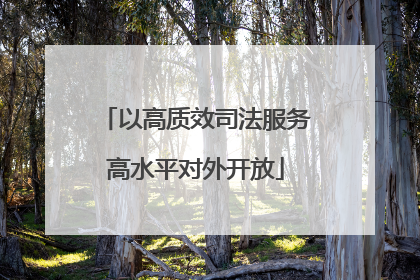 以高质效司法服务高水平对外开放