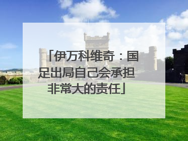 伊万科维奇：国足出局自己会承担非常大的责任
