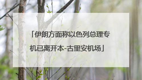 伊朗方面称以色列总理专机已离开本-古里安机场