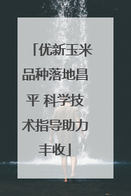 优新玉米品种落地昌平 科学技术指导助力丰收