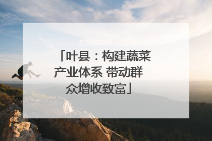 叶县：构建蔬菜产业体系 带动群众增收致富