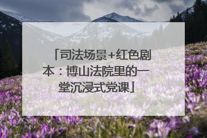 司法场景+红色剧本：博山法院里的一堂沉浸式党课