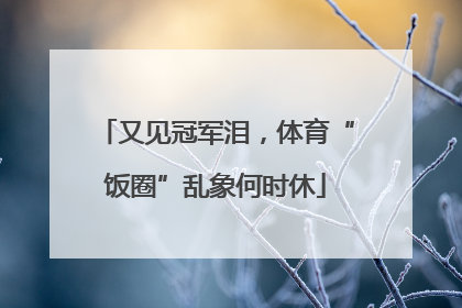 又见冠军泪，体育“饭圈”乱象何时休