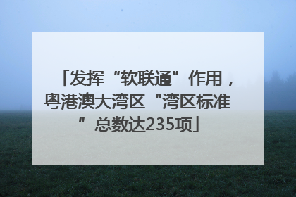 发挥“软联通”作用，粤港澳大湾区“湾区标准”总数达235项