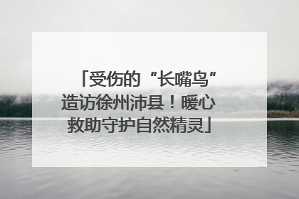 受伤的“长嘴鸟”造访徐州沛县！暖心救助守护自然精灵