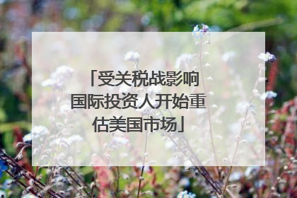 受关税战影响 国际投资人开始重估美国市场