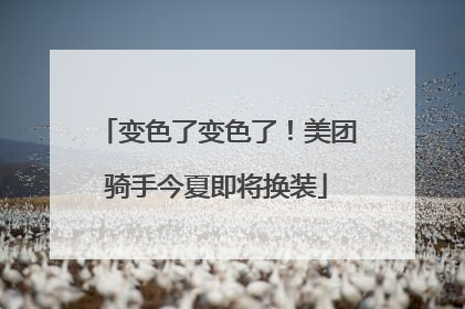 变色了变色了！美团骑手今夏即将换装