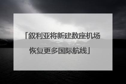 叙利亚将新建数座机场 恢复更多国际航线