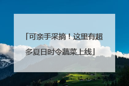 可亲手采摘！这里有超多夏日时令蔬菜上线