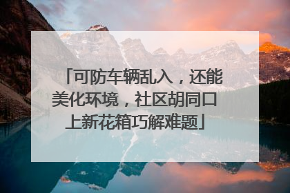 可防车辆乱入，还能美化环境，社区胡同口上新花箱巧解难题