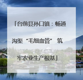 台前县孙口镇：畅通沟渠“毛细血管” 筑牢农业生产根基