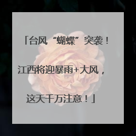 台风“蝴蝶”突袭！江西将迎暴雨+大风，这天千万注意！