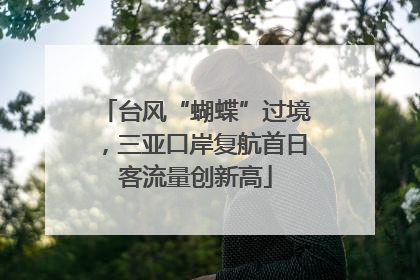 台风“蝴蝶”过境，三亚口岸复航首日客流量创新高