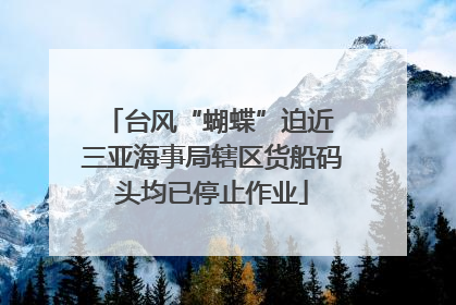 台风“蝴蝶”迫近 三亚海事局辖区货船码头均已停止作业