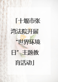 十堰市张湾法院开展“世界环境日”主题教育活动
