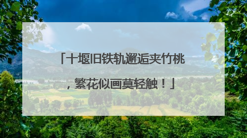 十堰旧铁轨邂逅夹竹桃，繁花似画莫轻触！