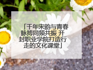 千年宋韵与青春脉搏同频共振 开封职业学院打造行走的文化课堂