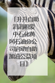 升升自助 涓涓积爱 中石化黄冈石油分公司启动自助加油公益项目