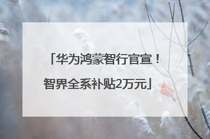 华为鸿蒙智行官宣！智界全系补贴2万元
