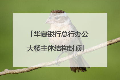 华夏银行总行办公大楼主体结构封顶