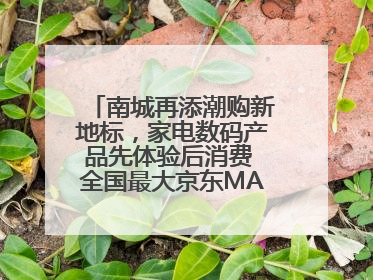 南城再添潮购新地标，家电数码产品先体验后消费 全国最大京东MALL开业
