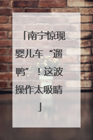 南宁惊现婴儿车“遛鸭”！这波操作太吸睛