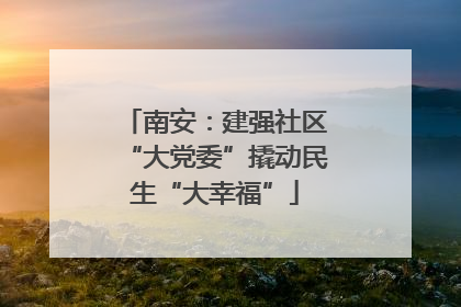 南安：建强社区“大党委”撬动民生“大幸福”