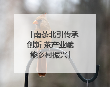 南茶北引传承创新 茶产业赋能乡村振兴