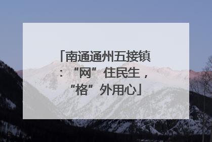 南通通州五接镇：“网”住民生，“格”外用心