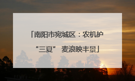南阳市宛城区：农机护“三夏” 麦浪映丰景