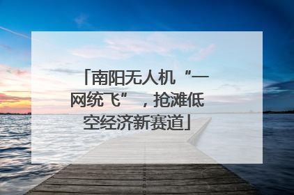 南阳无人机“一网统飞”，抢滩低空经济新赛道