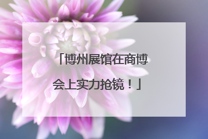 博州展馆在商博会上实力抢镜！