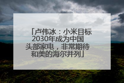 卢伟冰：小米目标2030年成为中国头部家电，非常期待和美的海尔并列