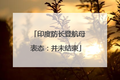 印度防长登航母表态：并未结束