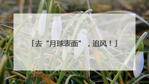 去“月球表面”，追风！