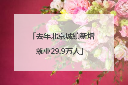 去年北京城镇新增就业29.9万人