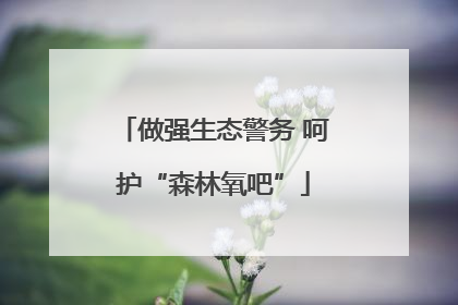 做强生态警务 呵护“森林氧吧”