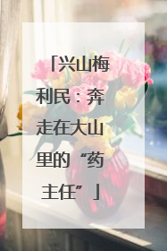兴山梅利民：奔走在大山里的“药主任”