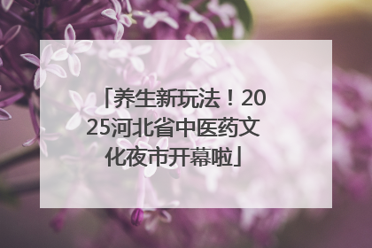 养生新玩法！2025河北省中医药文化夜市开幕啦