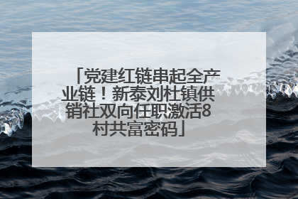 党建红链串起全产业链！新泰刘杜镇供销社双向任职激活8村共富密码