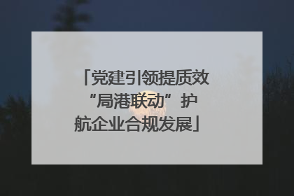 党建引领提质效 “局港联动”护航企业合规发展