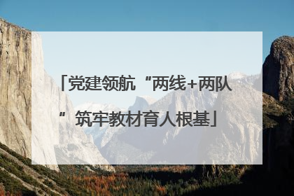 党建领航“两线+两队”筑牢教材育人根基