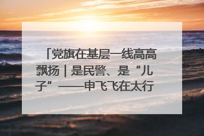 党旗在基层一线高高飘扬｜是民警、是“儿子”——申飞飞在太行山中的一线坚守