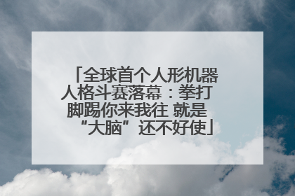 全球首个人形机器人格斗赛落幕：拳打脚踢你来我往 就是“大脑”还不好使