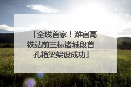 全线首家！潍宿高铁站前三标诸城段首孔箱梁架设成功