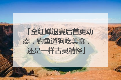 全红婵退赛后首更动态，钓鱼遛狗吃美食，还是一样古灵精怪