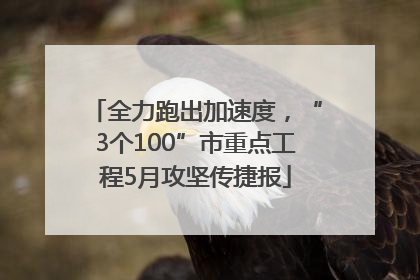 全力跑出加速度，“3个100”市重点工程5月攻坚传捷报
